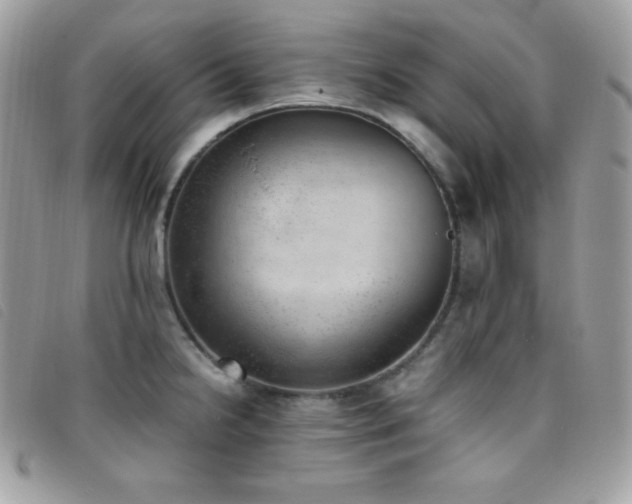 X0000095891238200801111148