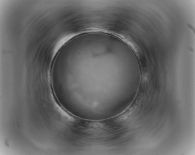 X0000095891239200801111148