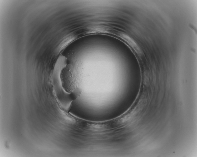 X0000095891241200801111148