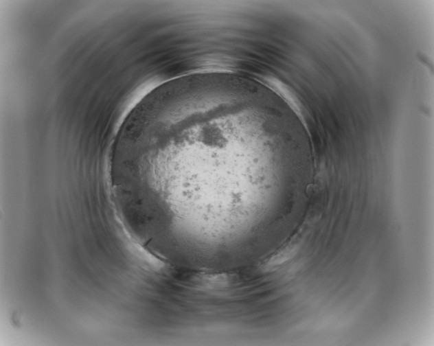 X0000095891243200801111148