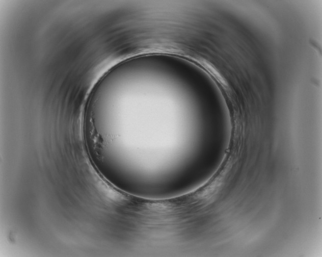 X0000095891246200801111148