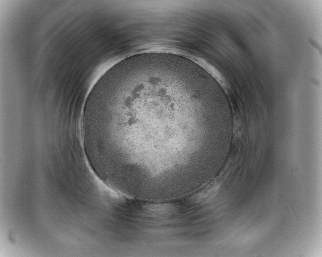 X0000095891247200801111148