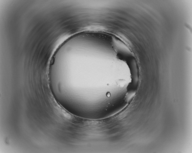 X0000095891248200801111148