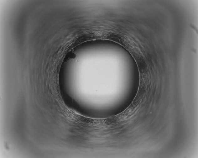 X0000095891249200801111148