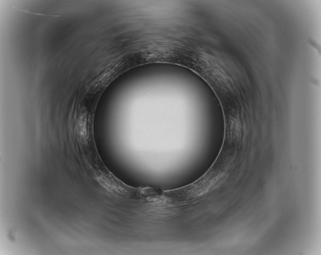 X0000095891250200801111148
