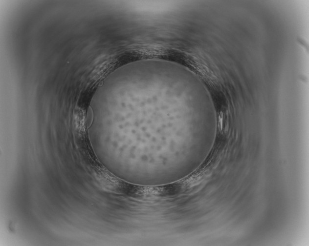 X0000095891251200801111148