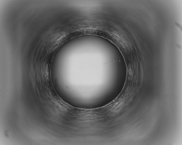 X0000095891252200801111148