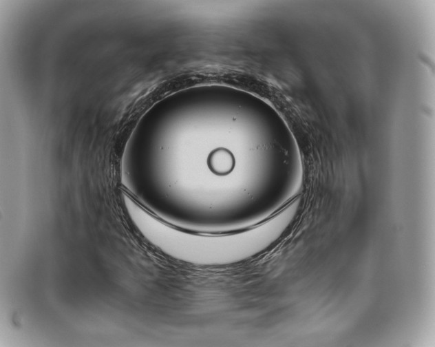 X0000095891253200801111148