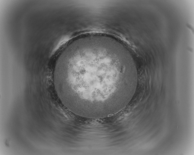 X0000095891255200801111148
