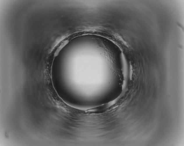 X0000095891256200801111148