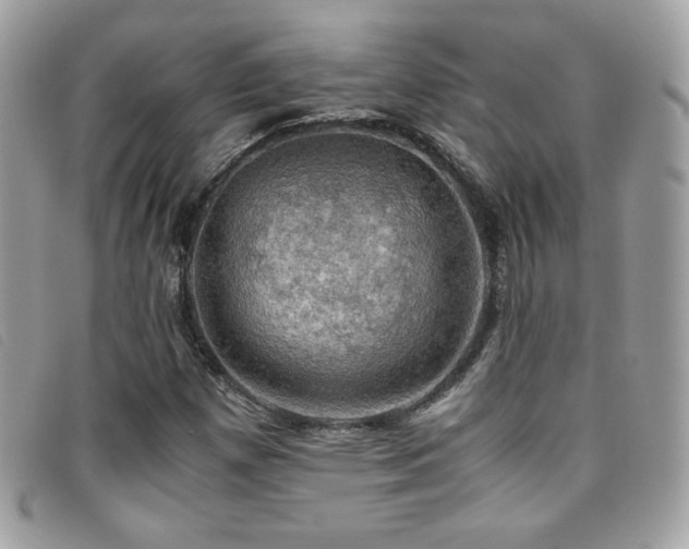 X0000095891257200801111148