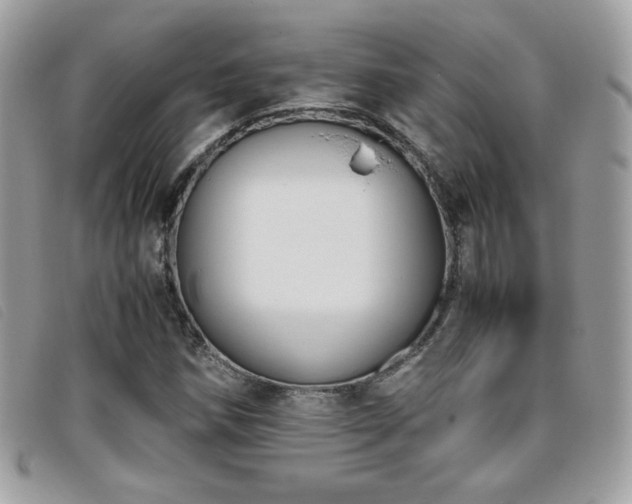 X0000095891258200801111148