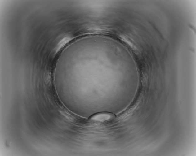 X0000095891259200801111148