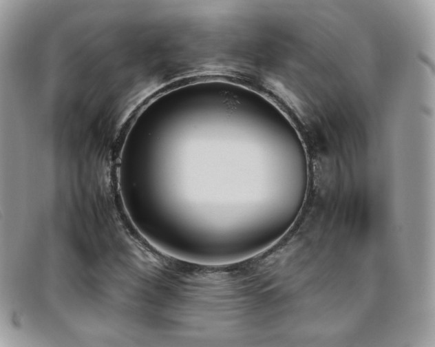 X0000095891260200801111148