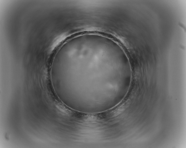 X0000095891263200801111148