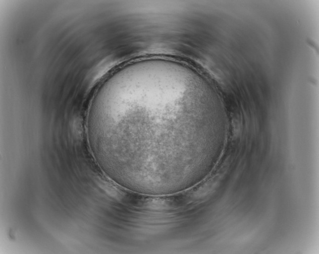 X0000095891266200801111148