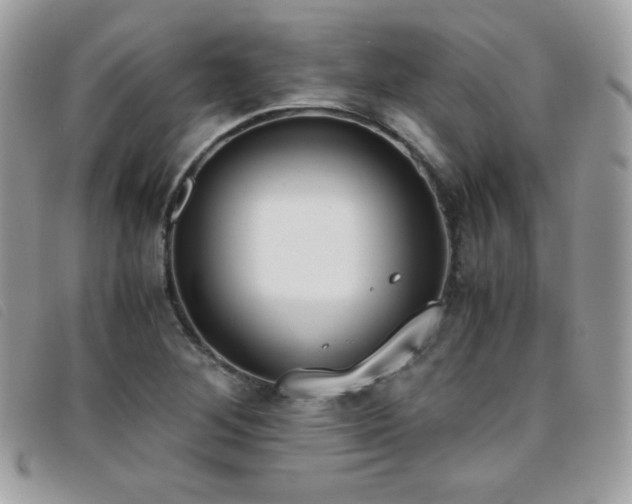 X0000095891268200801111148