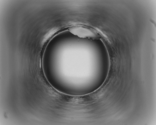 X0000095891269200801111148