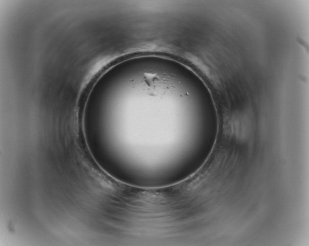 X0000095891270200801111148