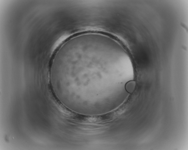 X0000095891271200801111148