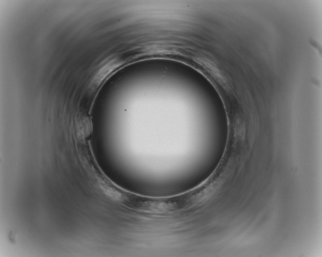 X0000095891273200801111148