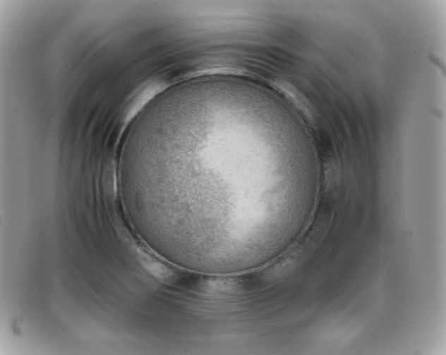X0000095891274200801111148