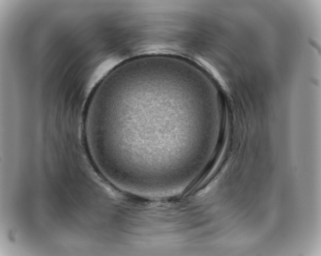 X0000095891277200801111147