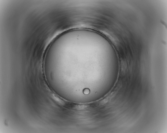 X0000095891278200801111147