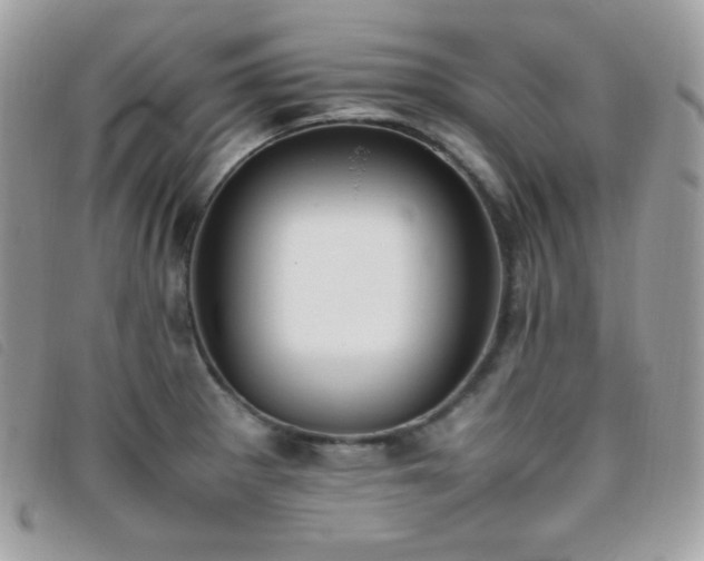 X0000095891281200801111147