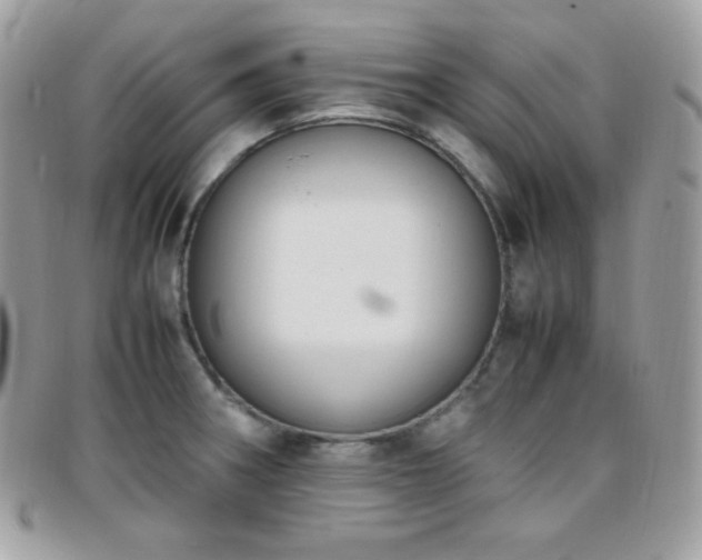 X0000095891282200801111147