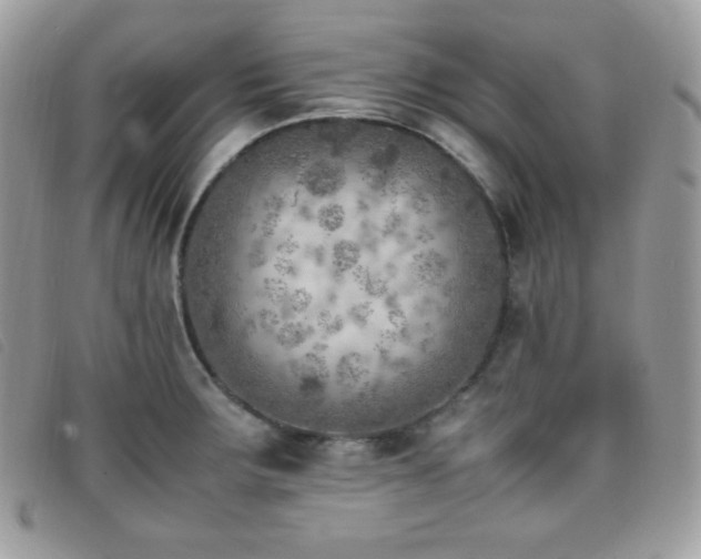 X0000095891283200801111147
