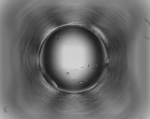 X0000095891284200801111147