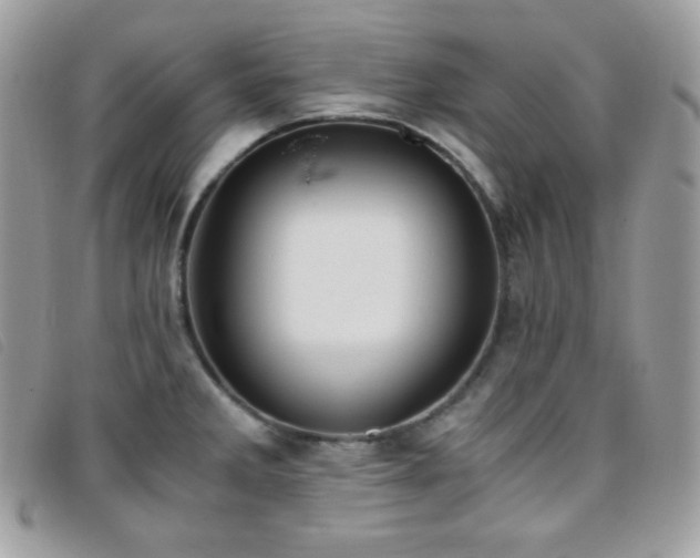 X0000095891285200801111147