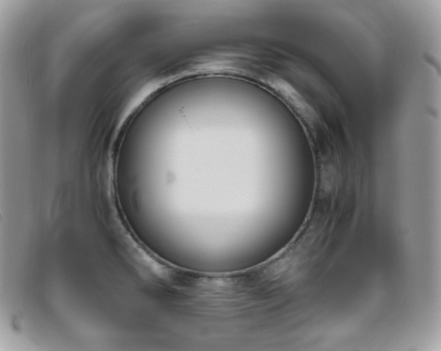 X0000095891286200801111147