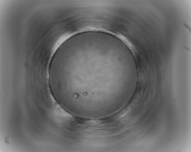 X0000095891287200801111147
