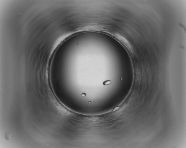 X0000095891288200801111147