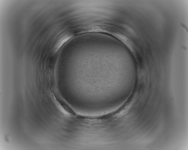 X0000095891289200801111147