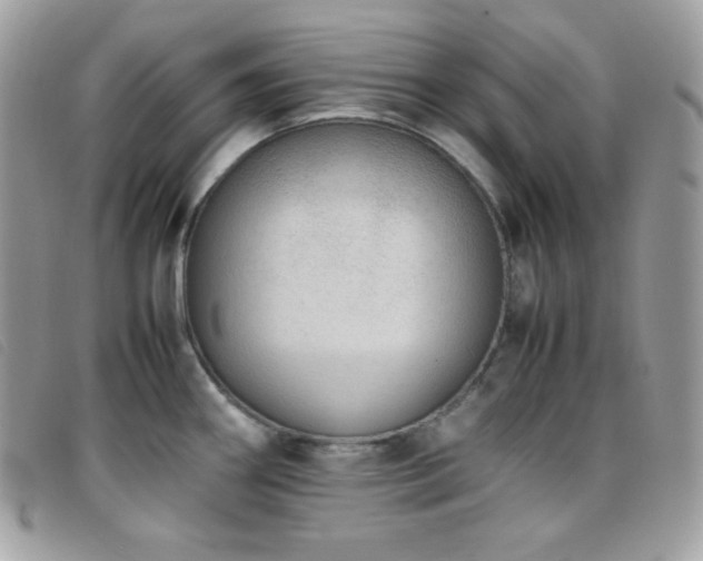 X0000095891290200801111147