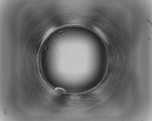 X0000095891291200801111147