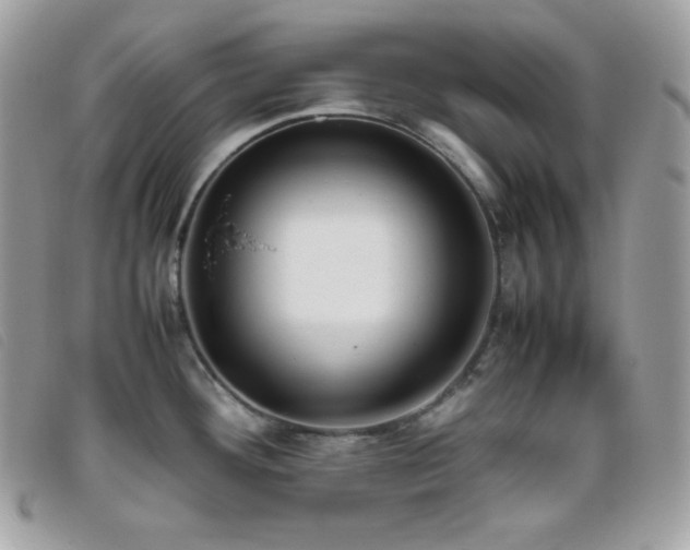 X0000095891292200801111147