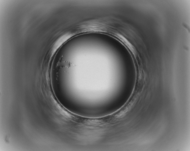 X0000095891293200801111147