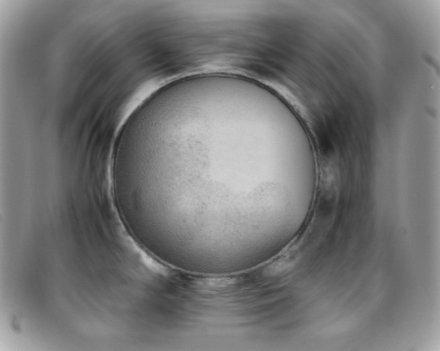 X0000095891294200801111147