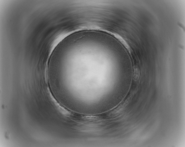 X0000095891295200801111147
