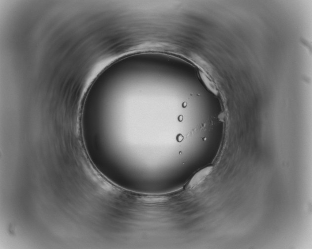 X0000095891296200801111147