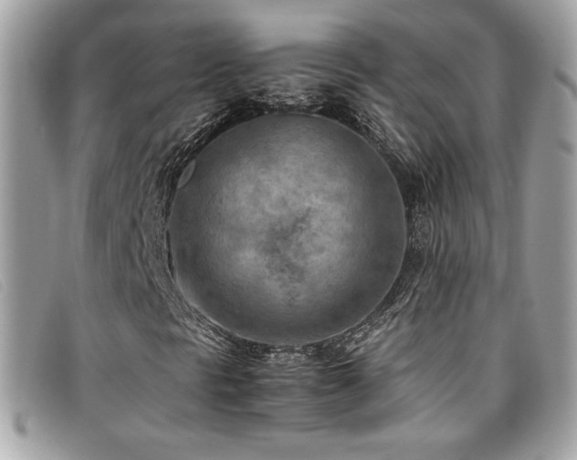 X0000095891297200801111146