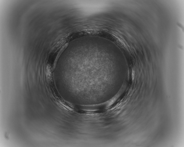X0000095891298200801111146