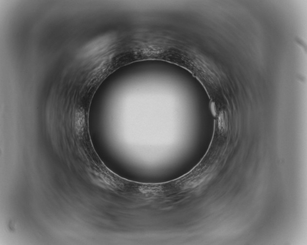 X0000095891299200801111146