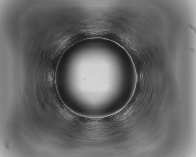 X0000095891300200801111146