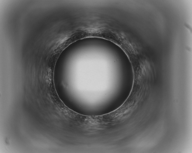 X0000095891301200801111146