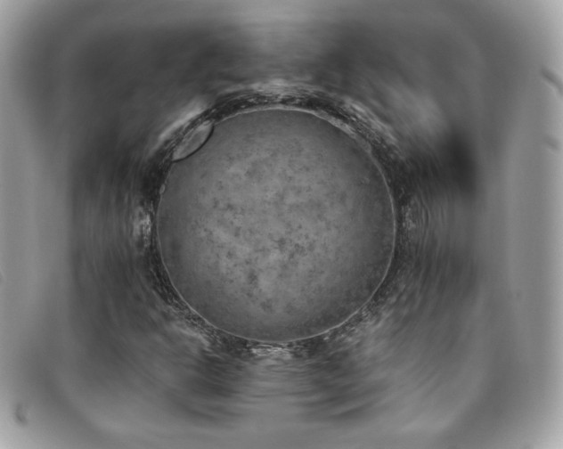 X0000095891302200801111146